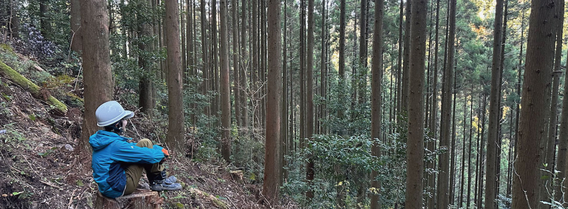 休日は森で過ごす